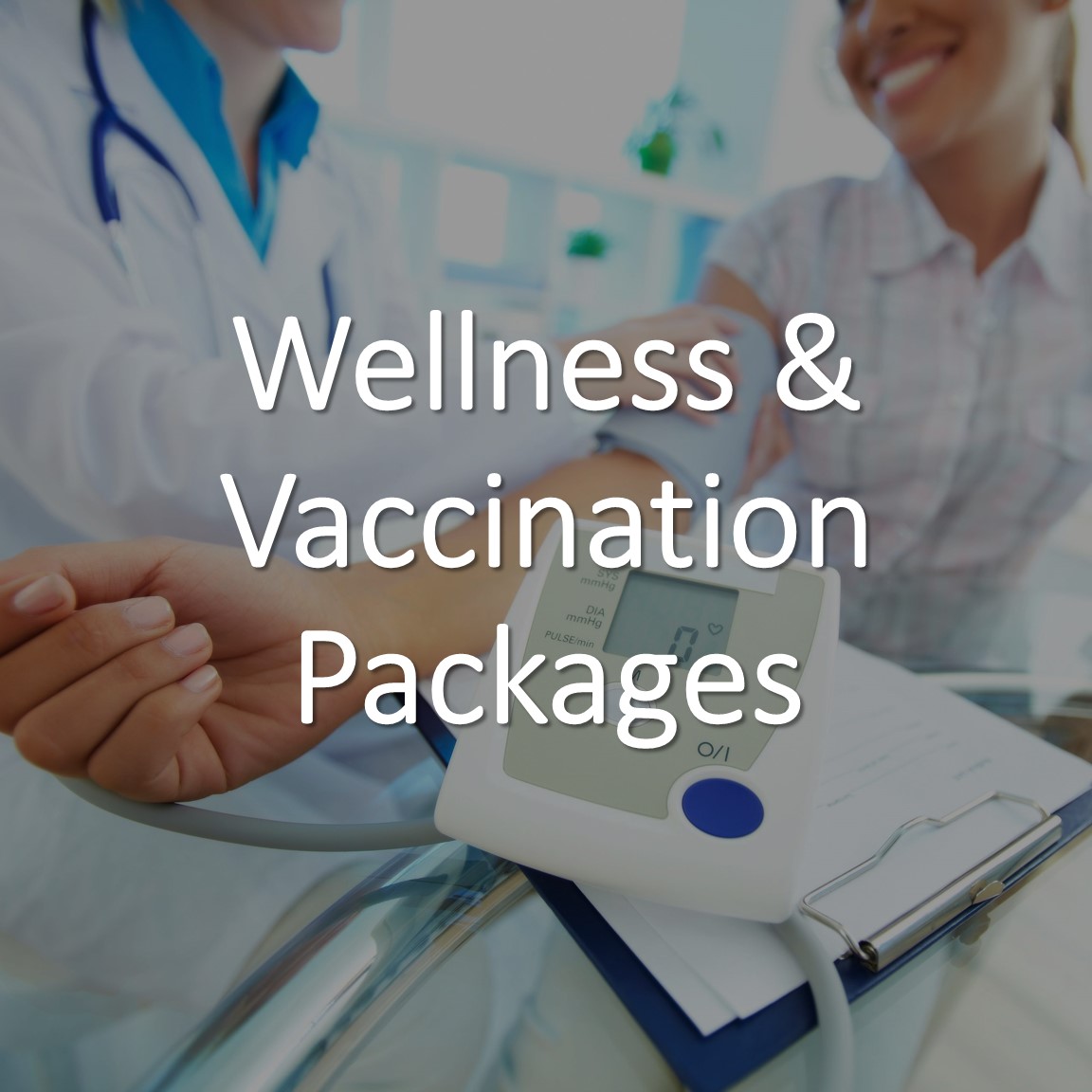 Wellness & Vaccination